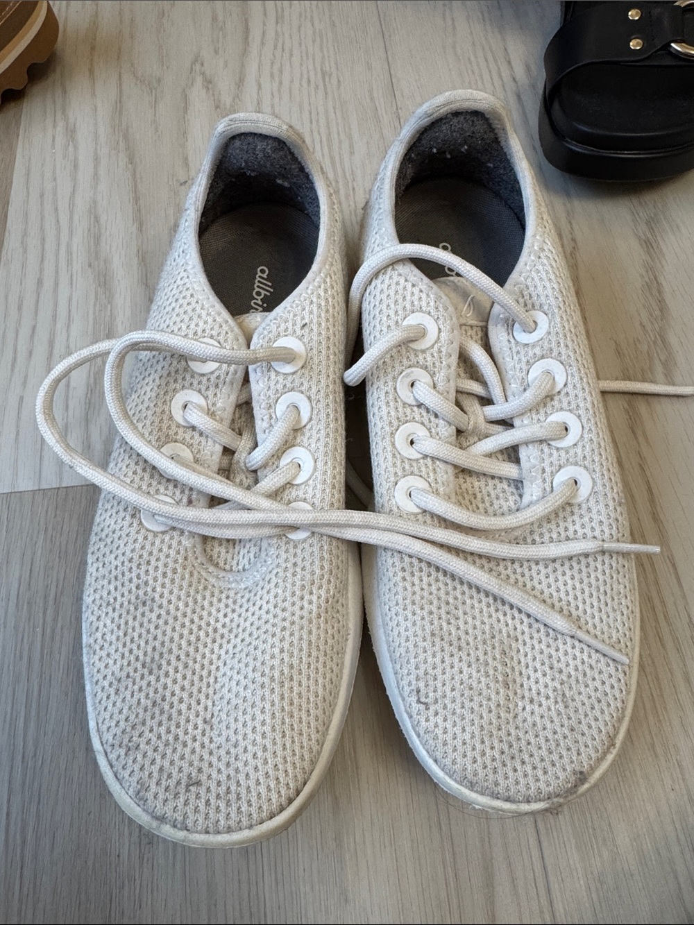 allbirds Women's White Knit Lace-Up Sneakers
